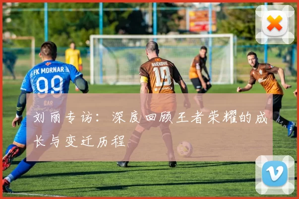 刘丽专访：深度回顾王者荣耀的成长与变迁历程