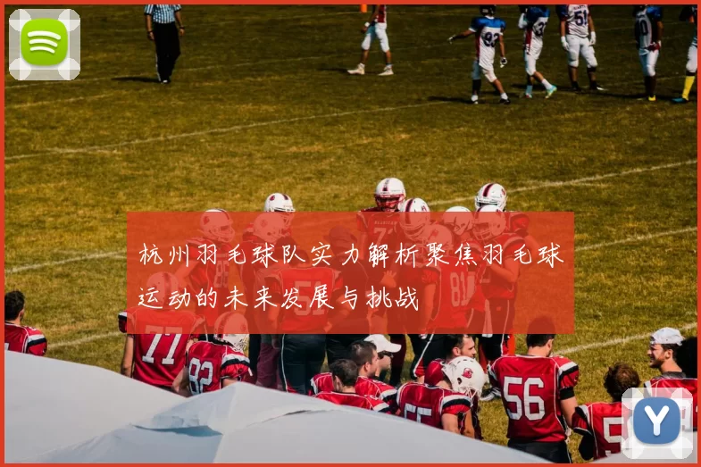 杭州羽毛球队实力解析聚焦羽毛球运动的未来发展与挑战