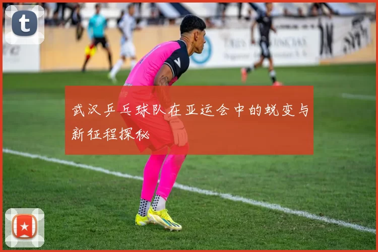 武汉乒乓球队在亚运会中的蜕变与新征程探秘