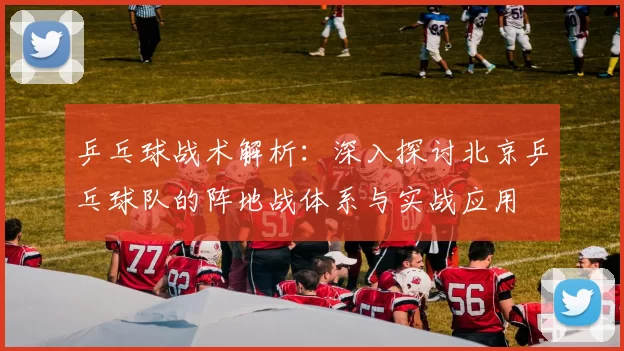 乒乓球战术解析：深入探讨北京乒乓球队的阵地战体系与实战应用