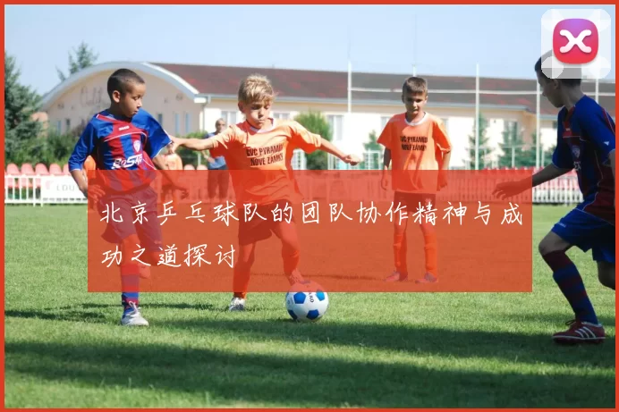 北京乒乓球队的团队协作精神与成功之道探讨