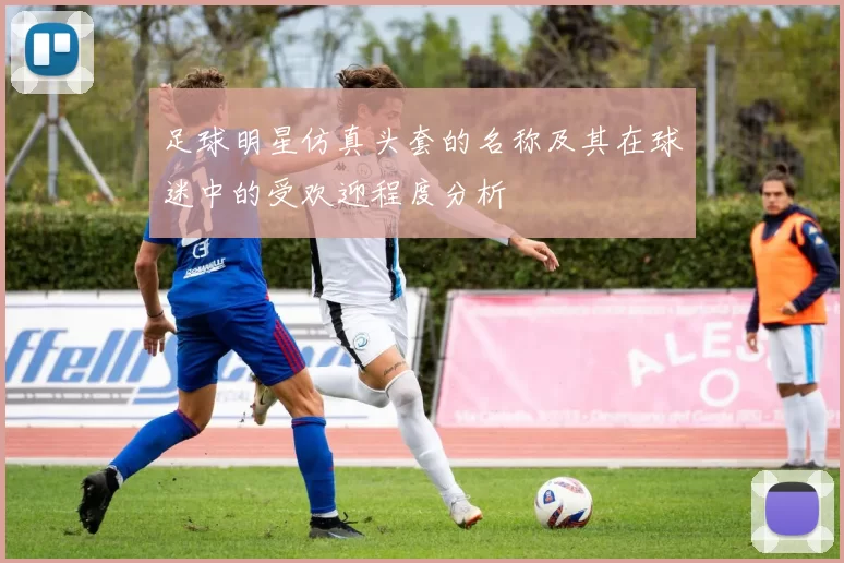 足球明星仿真头套的名称及其在球迷中的受欢迎程度分析