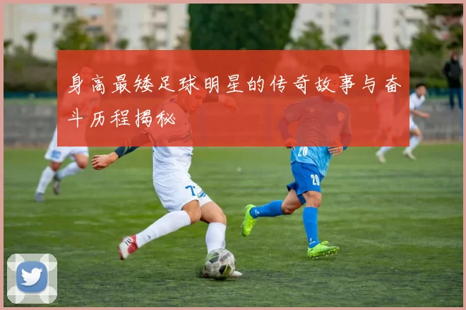 身高最矮足球明星的传奇故事与奋斗历程揭秘