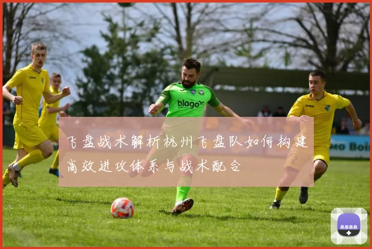 飞盘战术解析杭州飞盘队如何构建高效进攻体系与战术配合