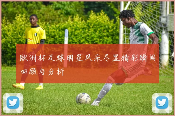 欧洲杯足球明星风采尽显精彩瞬间回顾与分析