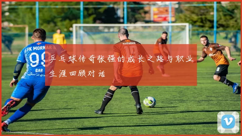 乒乓球传奇张强的成长之路与职业生涯回顾对话