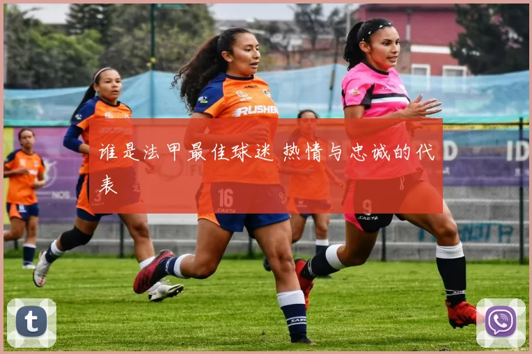 谁是法甲最佳球迷 热情与忠诚的代表