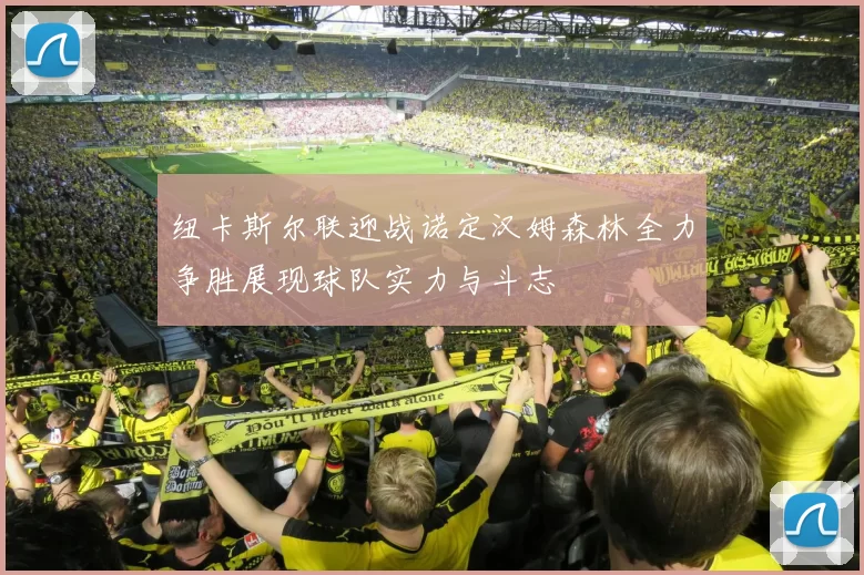 纽卡斯尔联迎战诺定汉姆森林全力争胜展现球队实力与斗志
