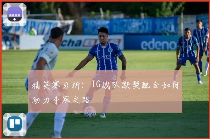 精英赛分析：IG战队默契配合如何助力夺冠之路