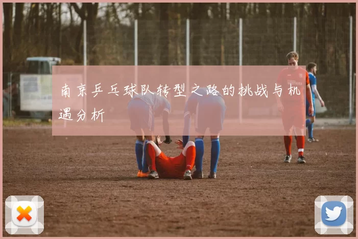 南京乒乓球队转型之路的挑战与机遇分析