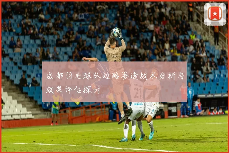 成都羽毛球队边路渗透战术分析与效果评估探讨