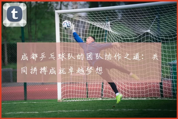 成都乒乓球队的团队协作之道：共同拼搏成就卓越梦想