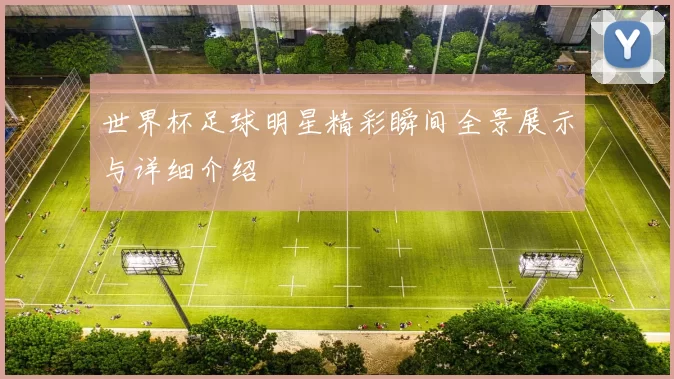 世界杯足球明星精彩瞬间全景展示与详细介绍