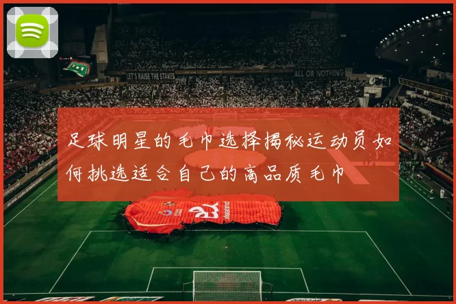 足球明星的毛巾选择揭秘运动员如何挑选适合自己的高品质毛巾