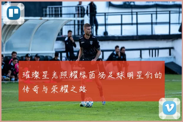 璀璨星光照耀绿茵场足球明星们的传奇与荣耀之路