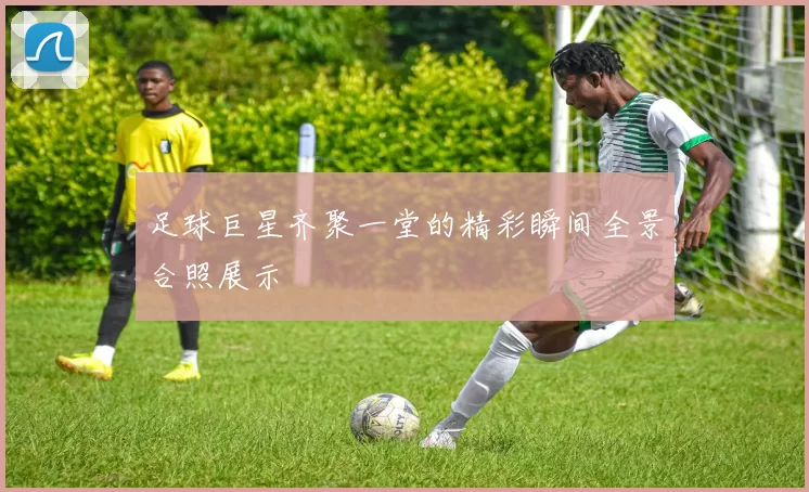 足球巨星齐聚一堂的精彩瞬间全景合照展示