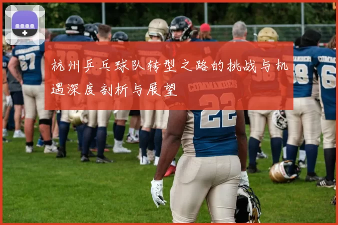 杭州乒乓球队转型之路的挑战与机遇深度剖析与展望