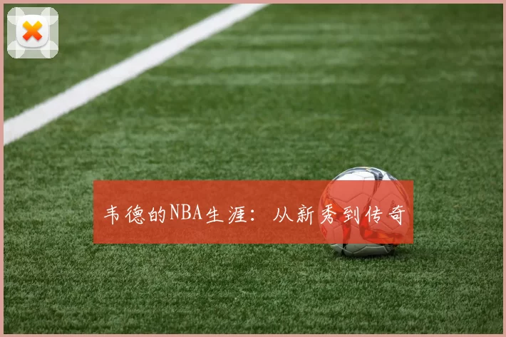 韦德的NBA生涯：从新秀到传奇