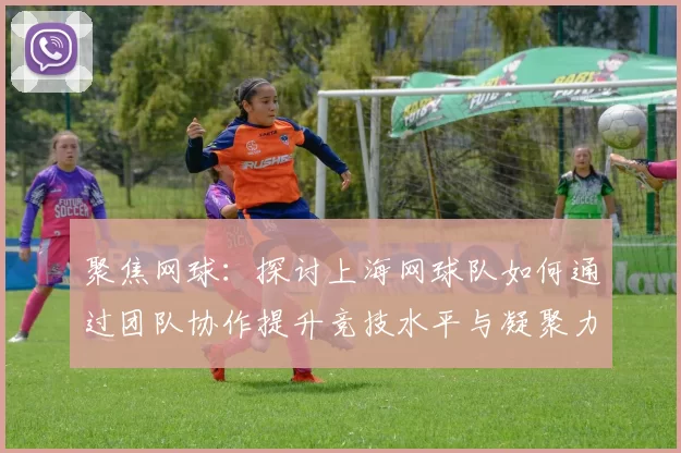 聚焦网球：探讨上海网球队如何通过团队协作提升竞技水平与凝聚力