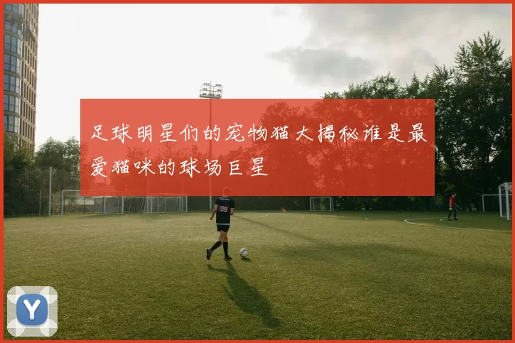 足球明星们的宠物猫大揭秘谁是最爱猫咪的球场巨星
