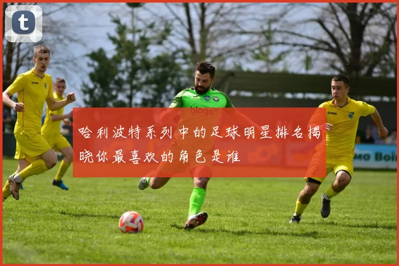 哈利波特系列中的足球明星排名揭晓你最喜欢的角色是谁