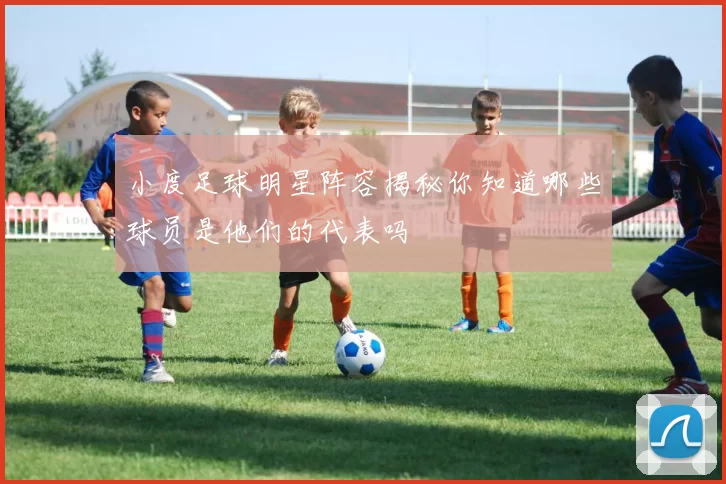 小度足球明星阵容揭秘你知道哪些球员是他们的代表吗