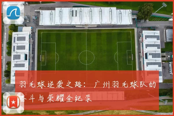 羽毛球逆袭之路：广州羽毛球队的奋斗与荣耀全纪录