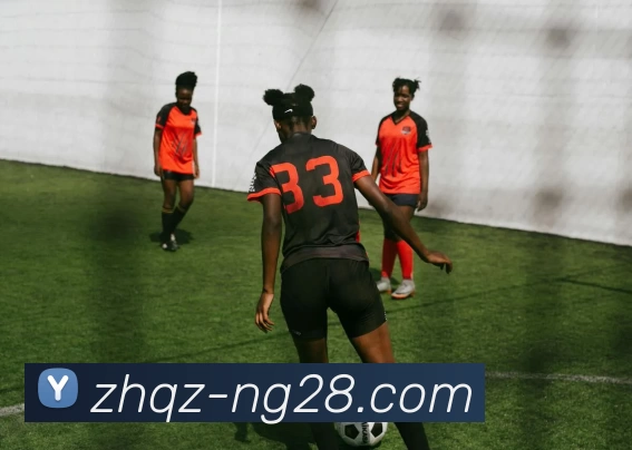 App Interface Preview